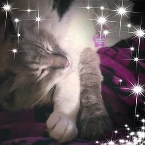 Meet your Posher, Kylea